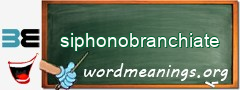 WordMeaning blackboard for siphonobranchiate